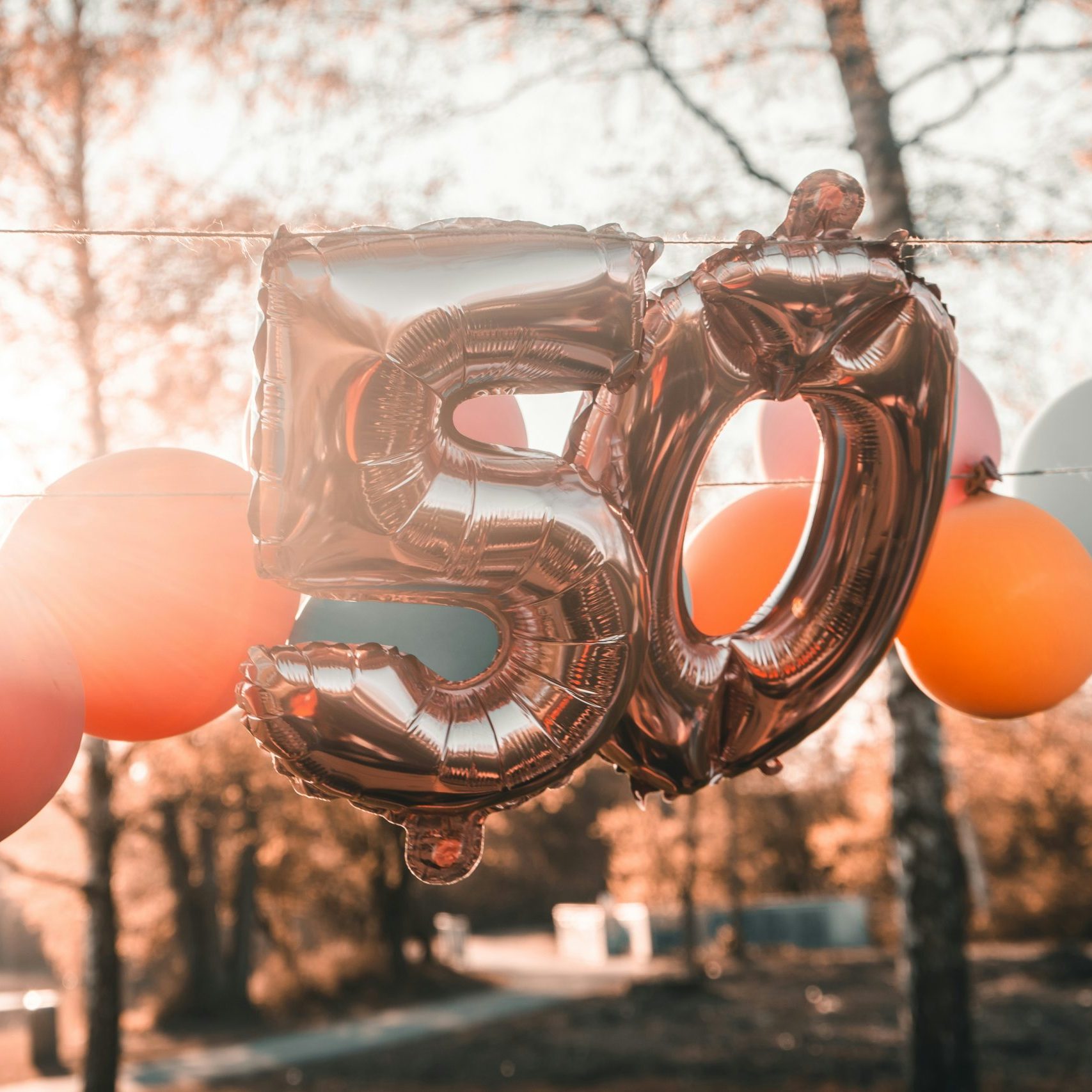 peri-stojnic-yEfAv2GnfRY-unsplash peri-stojnic-yEfAv2GnfRY-unsplash